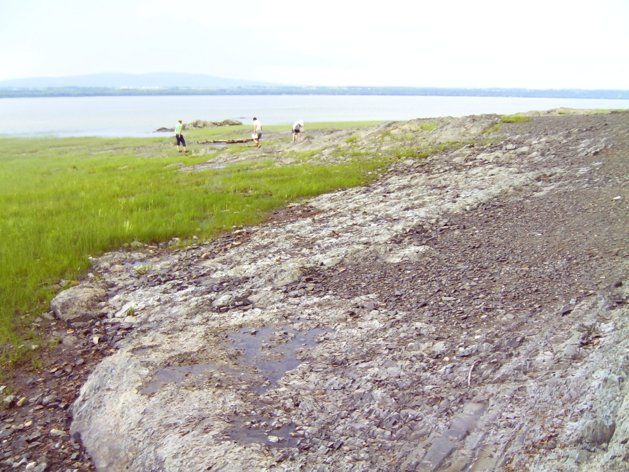 Relevé géologique en terrain côtier